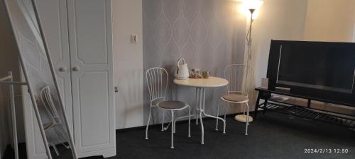ノヴィ・ソンチにあるHarmonica Studioのテーブル、椅子、テレビが備わる客室です。