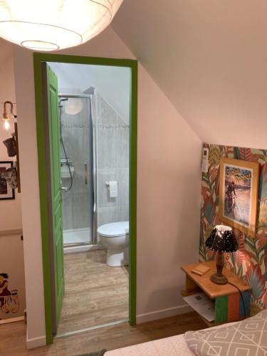 uma casa de banho com um chuveiro e um WC. em Chambre d'hôtes sur le chemin de la Loire à vélo em Les Ponts-de-Cé