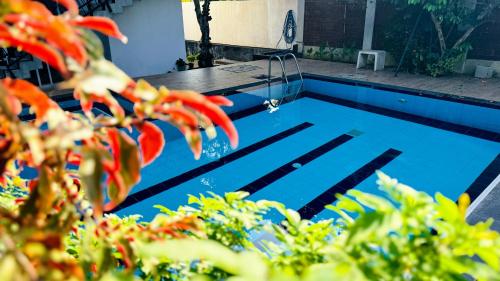 a swimming pool with red octopus at Villa De Lanerolle in Kalutara