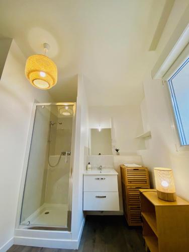 une salle de bain avec douche et lavabo dans l'établissement Canyon et Bali Studio centre Valence, à Valence