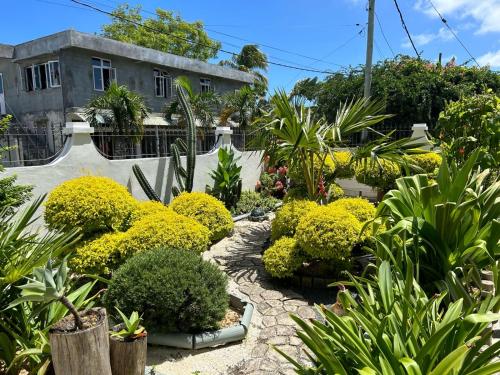 un jardín con flores y plantas amarillas frente a un edificio en L'oiseau vert apartments, en Rodrigues Island