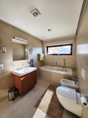 a bathroom with a toilet and a sink and a tub at Vila Stašov in Polička