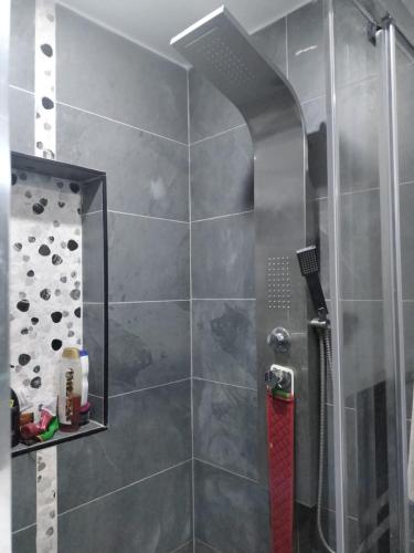 La salle de bains est pourvue d'une douche avec un extincteur rouge. dans l'établissement Residence les d'une, à Fort-de-l'Eau