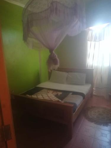 łóżko w pokoju z zieloną ścianą w obiekcie Alwali Guest House w mieście Mumias