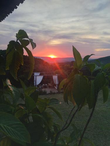 a sunset in the mountains with a plant in the foreground at Pousada Canto da Lua - charme e vista incrível in Carrancas