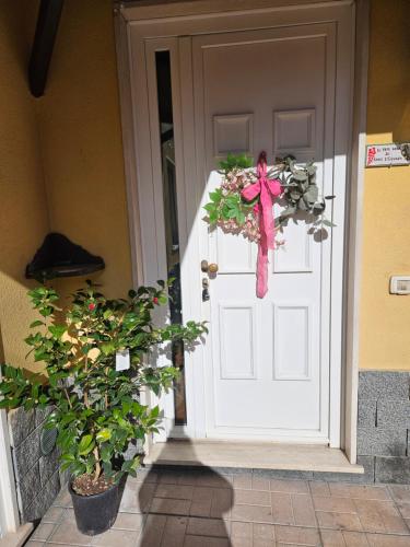 a door with a christmas wreath with a pink bow at IL PEPE ROSA di Anna e Silvano in Sarzana