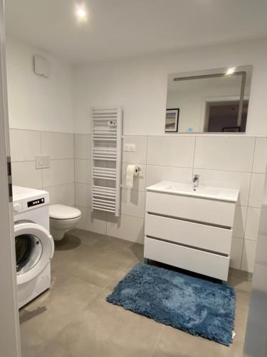 a bathroom with a toilet sink and a washing machine at La Suite Cosy in Roppenheim