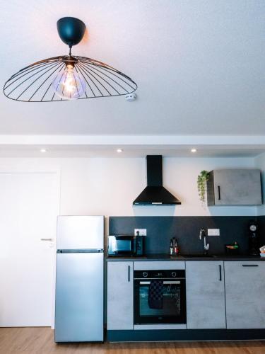 Il comprend une cuisine avec un réfrigérateur et une lampe. dans l'établissement La Suite Cosy, à Roppenheim
