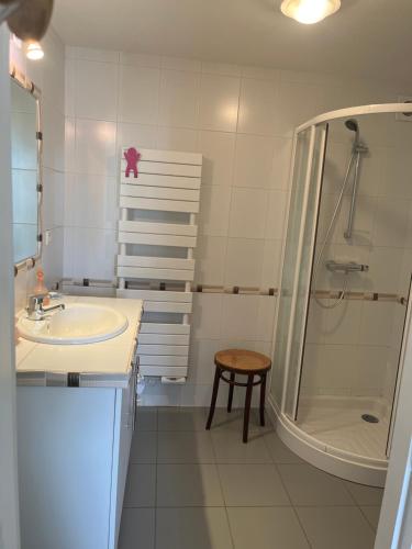 y baño con lavabo y ducha. en Chambre d'Hôtes Lacapelle Del Fraisse en La Capelle-del- Fraisse