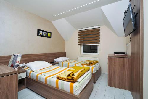 two beds in a small room with a tv at Vila Mina in Zlatibor