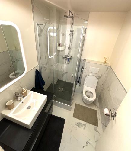 une salle de bain avec une douche, un lavabo et des toilettes dans l'établissement Marais Modern & Spacious Studio, à Paris