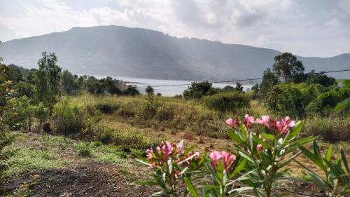 a field with pink flowers and a mountain in the background at The Wai Hills MTDC Approved in Wai