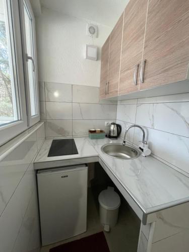a small white kitchen with a sink and a sink at Domaćinstvo Una-Ostrovica in Kulen Vakuf