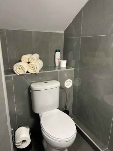 a bathroom with a toilet and towels on a shelf at Maria’s studio in Paphos City