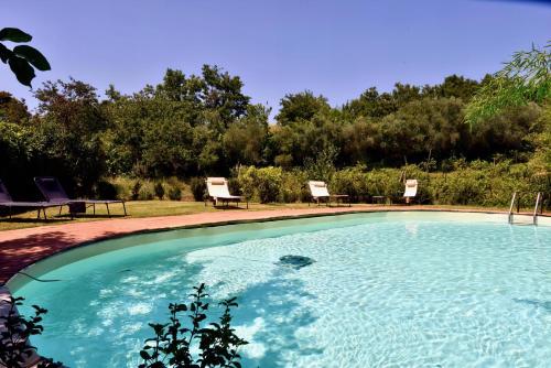 a swimming pool with two lawn chairs and trees at Molino in chianti in Mercatale Val Di Pesa