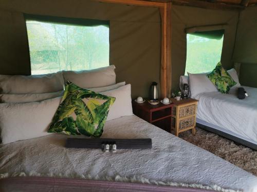 1 dormitorio con 2 camas en una tienda de campaña en Kruger Buffalo Hill Lodge, en Phalaborwa