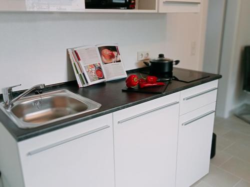 a kitchen counter with a sink and a pot on it at Ferienzimmer Waldzauber in Borkwalde