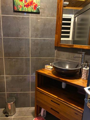 ein Bad mit einem Waschbecken und einem Spiegel in der Unterkunft Meublé de tourisme Makaze in Saint-Louis