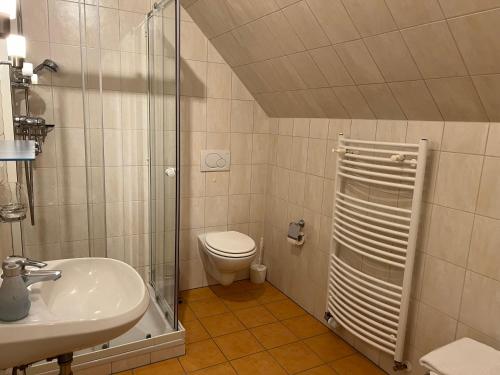 ein Bad mit einer Dusche, einem WC und einem Waschbecken in der Unterkunft Gästehaus-Erbst in Loxstedt
