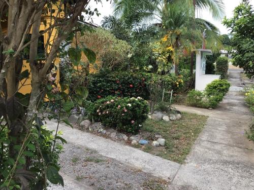 una casa con un jardín con flores y una acera en Urbano y comodo en David