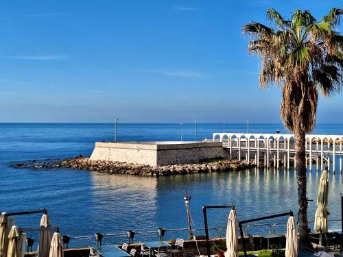 a dock with a palm tree and a body of water at Mowita in Civitavecchia