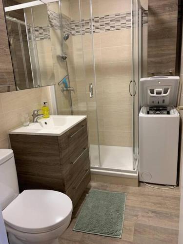 La salle de bains est pourvue d'un lavabo et d'une douche. dans l'établissement Appartement à 2 pas de la mer, à Berck-sur-Mer