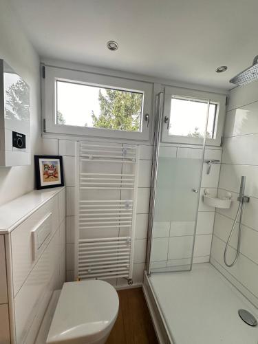 a white bathroom with a shower and a toilet at Ferienhaus im Feriendorf Freilingen (Eifel). in Freilingen