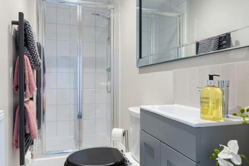 a bathroom with a shower and a toilet and a sink at Stylish and homely 1 bed Edwardian Coach House in Colchester