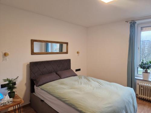 um quarto com uma cama com um espelho e uma janela em ruhige Privatzimmer im Apartment Natur Messe Zentral em Düsseldorf