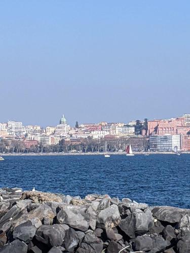 Toledo Relax photo 49