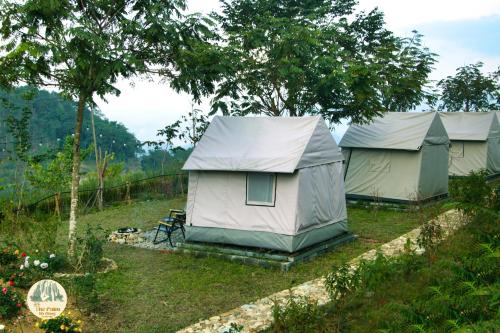 The Palm Ha Giang Ecolodge & Tour