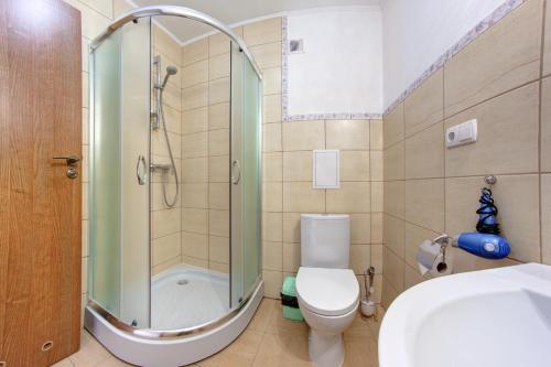 ヤブルニツァにあるSkilandhouse Yablunytsyaのバスルーム(シャワー、トイレ、シンク付)