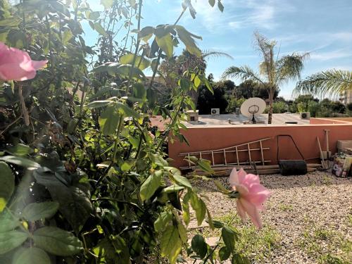 a view of a house from the garden with roses at Guesthouse en Coveta fumà- El Campello in El Campello