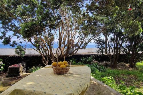 a basket of fruit sitting on a table at Terra`s Place in Santo Amaro