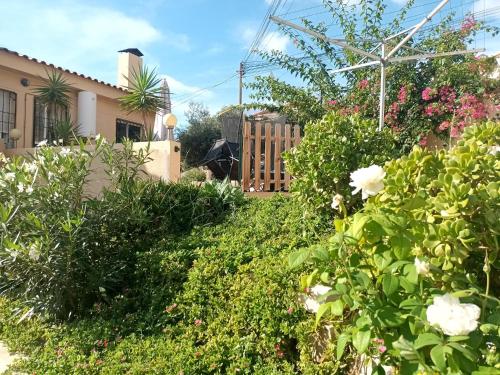 a garden with bushes and flowers in front of a house at Guesthouse en Coveta fumà- El Campello in El Campello