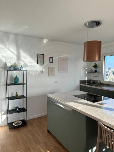 une cuisine avec un évier et un plan de travail dans l'établissement Appartement spacieux doté d'une grande terrasse, proche Paris. Parking gratuit, à Ivry-sur-Seine
