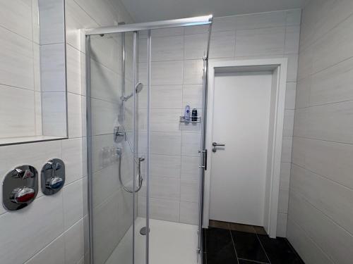 a bathroom with a shower with a glass door at Appartement Neugasse de Luxe - Komfort & Stil inklusive in Bad Camberg
