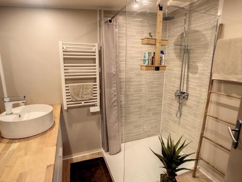 een badkamer met een douche en een wastafel bij Kabane Bohème à St-Raphael au Cap Estérel in Saint-Raphaël
