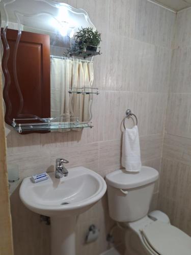 La salle de bains est pourvue d'un lavabo, de toilettes et d'un miroir. dans l'établissement Bello Apartamento, 2 habitaciones 2 baños Santo Domingo Carmen Renata III, à Saint-Domingue