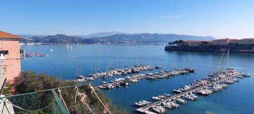 a bunch of boats are docked in a harbor at La Terrazza sulla baia di Le Grazie in Portovenere