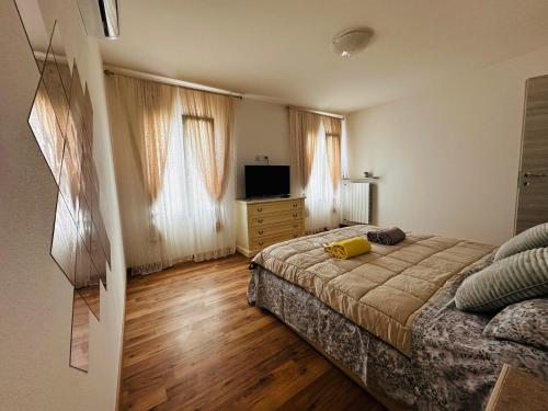 een slaapkamer met een bed en een televisie. bij La casa verde in Beccacivetta
