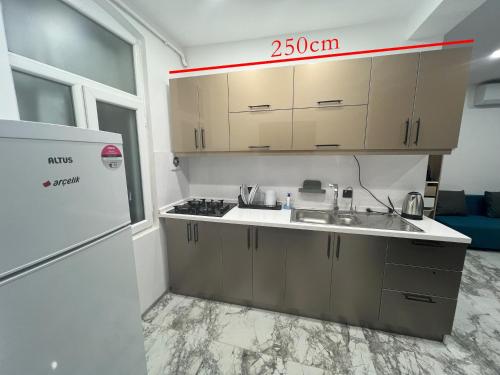La cuisine est équipée d'un évier et d'un réfrigérateur. dans l'établissement Park View 201 double room, à Istanbul