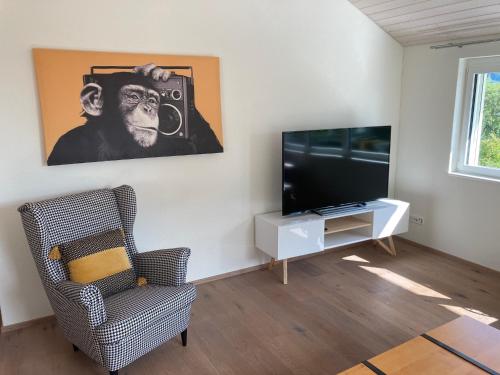 una sala de estar con una foto de un mono con una cámara en la pared en Wohnresidenz Casa Fortuna en Suhr