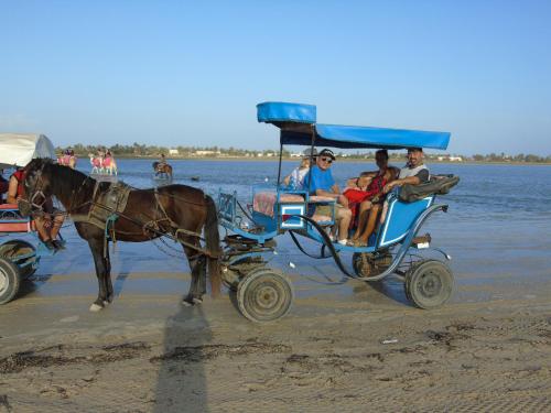 a horse drawn carriage on the beach with people at Dar Aladin in Arkou