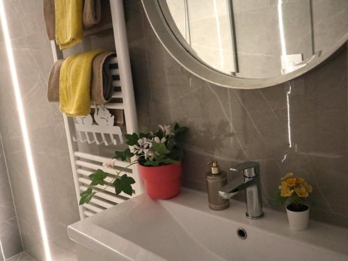 a bathroom sink with a mirror and plants on it at Romantic and relax in Esztergom