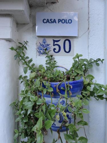 une plante dans un pot bleu suspendue sur un mur dans l'établissement Casa Polo, à Marbella