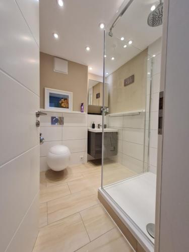 a bathroom with a shower with a toilet and a sink at Wohnung, 2 Schlafzimmer voll ausgestattet in Uninähe in Mainz
