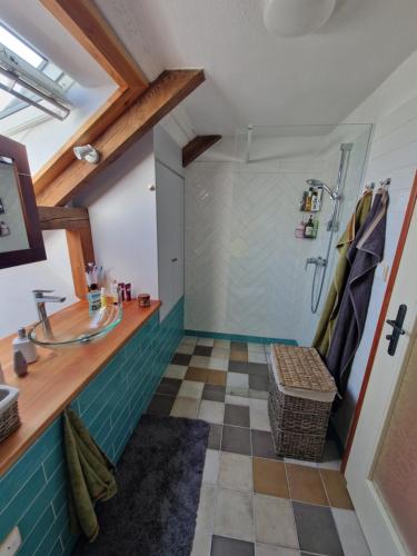 a bathroom with a sink and a shower at Cihelna Hříběcí in Pelhřimov