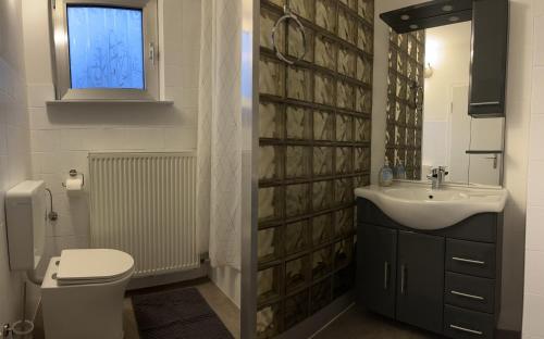 baño con lavabo y aseo y ventana en Ferienwohnung am Eschenberg, en Vinstedt