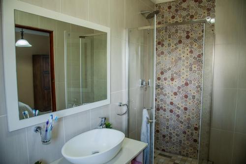 a bathroom with a sink and a shower with a mirror at 137 Vaal De Grace Golf Estate in Parys
